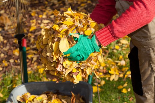 Commercial waste collection services in Norwood