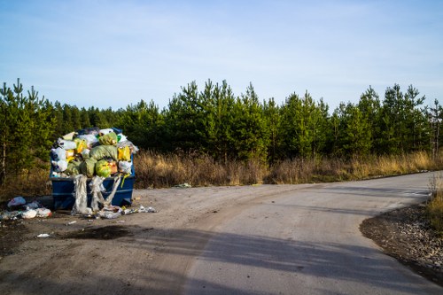 Professional waste management team in Norwood